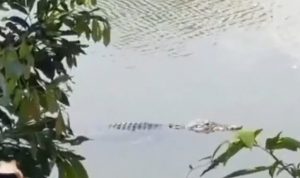 1691502703-20230808-WA0083
