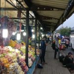 Buah