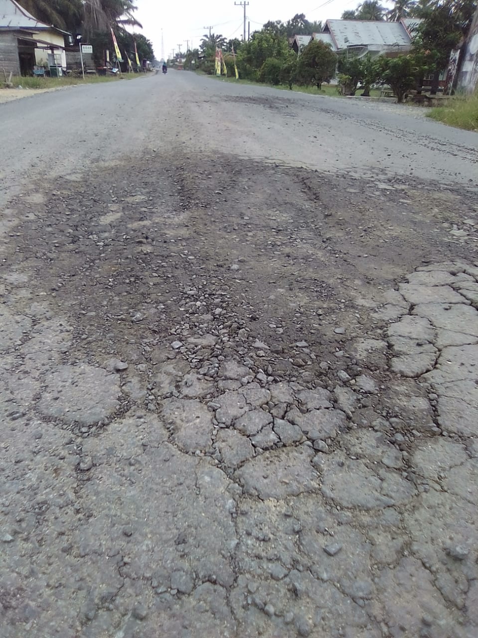 IMG-20181013-WA0005