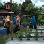 IMG-20181026-WA0028