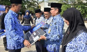 IMG-20181129-WA0019