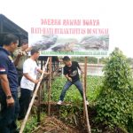 Plang Buaya