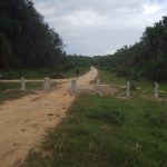 IMG-20190115-WA0001