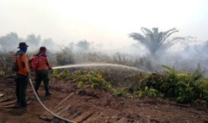 sebanyak-15-hektare-lahan-gambut-riau-kembali-terbakar