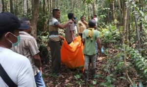 IMG_20190206_100654