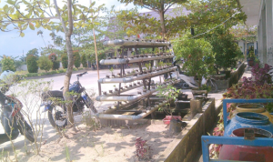 TAMAN