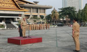 aPEL PAGI