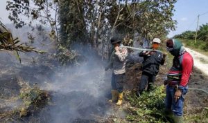 bersama-warga-setempat-ratusan-petugas-padamkan-api-di-sejumlah-titik-di-rupat