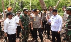 tinjau-rupat-panglima-tni-instruksikan-tangkap-pembakar-lahan