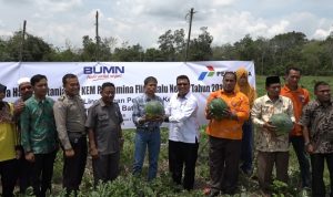 IMG-20190411-WA0035