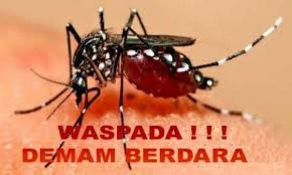 Ilustrasi DBD