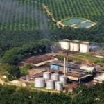 Salah satu perusahaan perkebunan di Riau