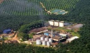 Salah satu perusahaan perkebunan di Riau