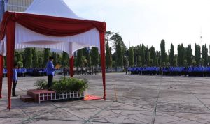 Wakil Gubernur Riau Edy ntar Nasution pimpin upacara Peringatan Hari Otonomi Daerah