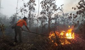 gelar-raperda-gubri-dan-dewan-tekankan-karhutla