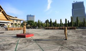 Gubernur Riau Syamsuar
