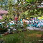 IMG-20190802-WA0006
