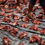 Saat menerima daging kurban, pastikan disimpan dengan benar.