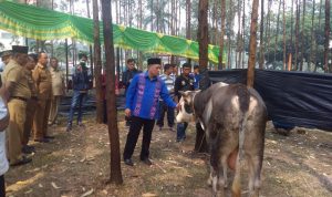 masjid-darul-abral-dprd-riau-potong-7-ekor-hewan-qurban