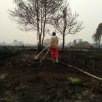 Petugas masih berjibaku melakukan pemadaman lahan terbakar di Pelalawan, Riau.