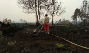 Petugas masih berjibaku melakukan pemadaman lahan terbakar di Pelalawan, Riau.