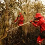 polda-riau-tetapkan-59-tersangka-karhutla-di-riau