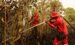 polda-riau-tetapkan-59-tersangka-karhutla-di-riau