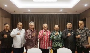 Gubernur Riau Syamsuar