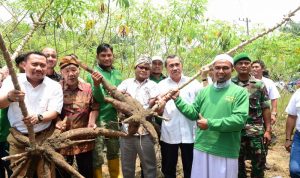 pemprov-riau-dorong-perbankan-beri-pinjaman-kredit-ke-petani