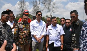 IMG-20191107-WA0074