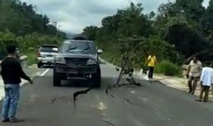 jalan-batu-bersurat-muara-takus-kembali-amblas