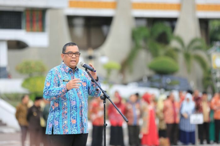 Wakil Gubernur Riau H Edy Afrizal Natar Nasution.