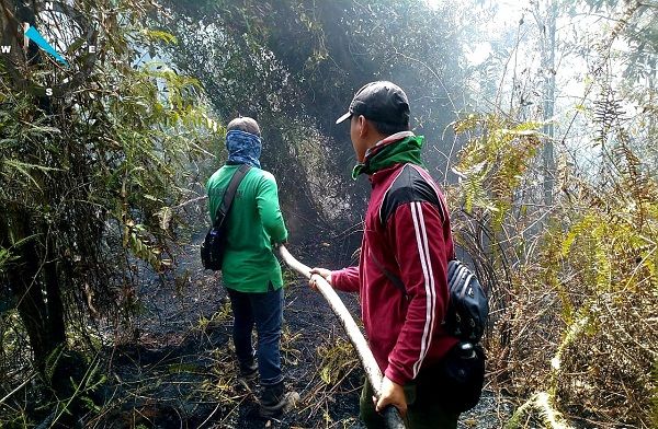tim-satgas-masih-berjibaku-padamkan-karhutla-di-giam-siak-kecil