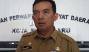 plt