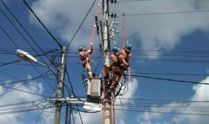 PLN