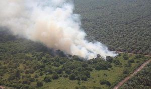 bmkg-deteksi-204-hotspot-pagi-33-ada-di-riau