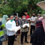 Bantuan