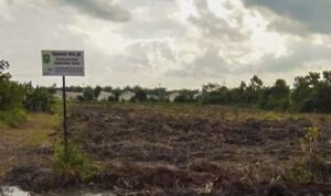 antisipasi-ketahanan-pangan-pemprov-riau-tanam-jagung-dan-ubi-kayu-di-lahan-seluas-22-hektar