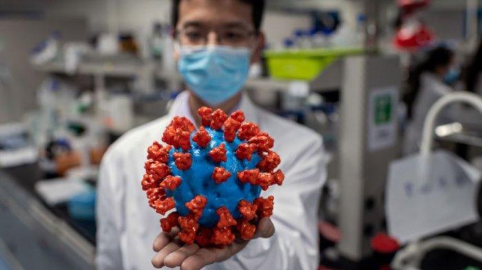 model-plastik-coronavirus-covid-19