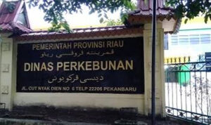 Dinas