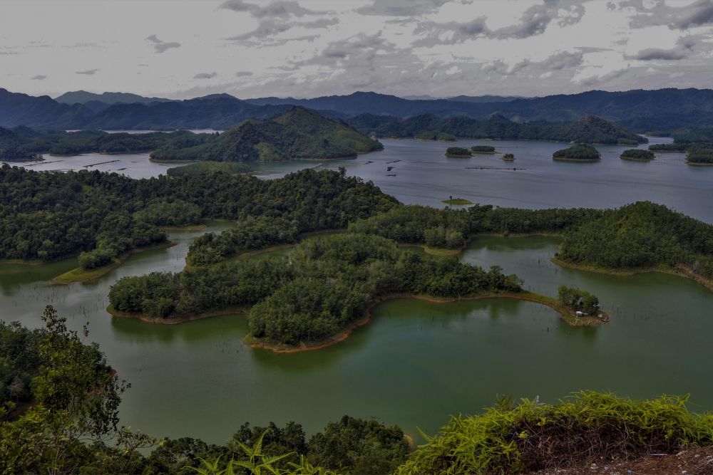 riau-dapat-tambahan-pad-dari-sektor