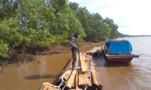 polda-riau-tangkap-dua-pembawa-kayu