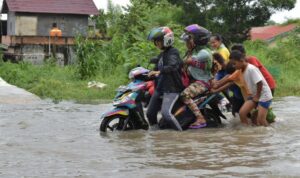206-desa-dan-116-kecamatan-di-riau
