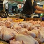 32652-news-harga-daging-ayam-ti