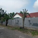 67466-news-pohon-sekitaran-arya