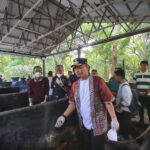 75171-news-dlhk-pekanbaru-olah-