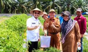 95166-news-persiapan-program-ma