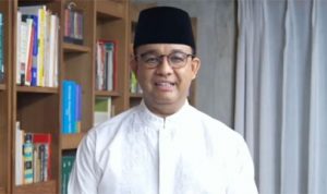 Anis