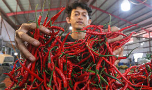Cabe