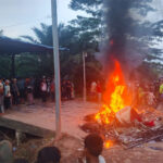 DEMO